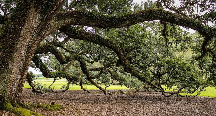 智能化且具有学习能力的呼死你轰炸短信平台